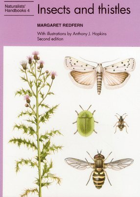 Insects and thistles 1