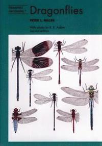 bokomslag Dragonflies