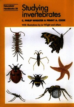 Studying Invertebrates