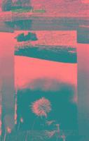 Shadow Lands 1