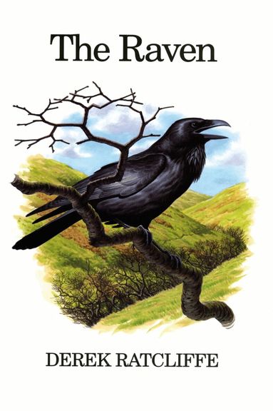 Derek Ratcliffe - Raven, Inbunden
