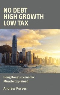 bokomslag No Debt High Growth Low Tax