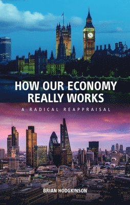 bokomslag How our Economy Really Works