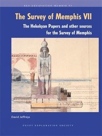 bokomslag The The Survey of Memphis VII