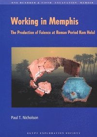 bokomslag Working in Memphis