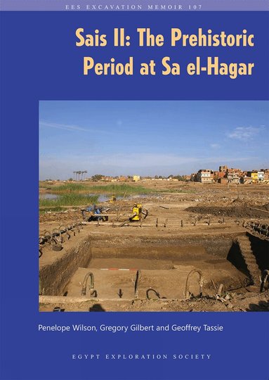 Penelope Wilson, Gregory Gilbert, Geoffrey Tassie - Sais II, Häftad