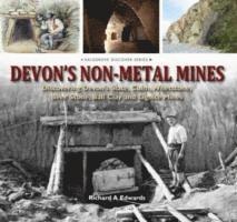 bokomslag Devon's Non Metal Mines