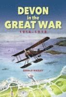 bokomslag Devon in The Great War