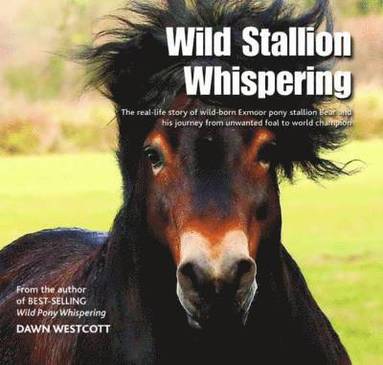 bokomslag Wild Stallion Whispering