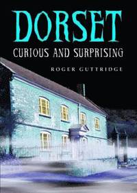 bokomslag Dorset - Curious and Surprising