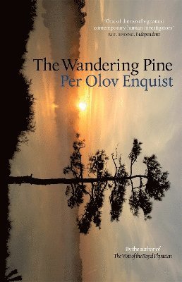 Per Olov Enquist - Wandering Pine, Inbunden