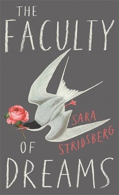 Sara Stridsberg - Faculty of Dreams, Häftad