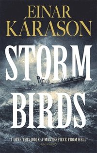 bokomslag Storm Birds