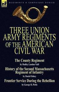 bokomslag Three Union Army Regiments of the American Civil War