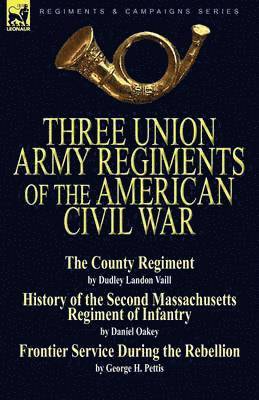 Three Union Army Regiments of the American Civil War
