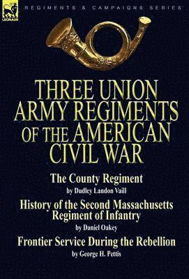 bokomslag Three Union Army Regiments of the American Civil War