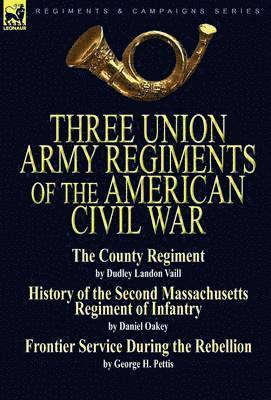 Three Union Army Regiments of the American Civil War