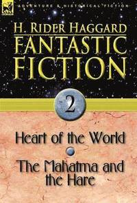 bokomslag Fantastic Fiction 2