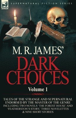 bokomslag M. R. James' Dark Choices