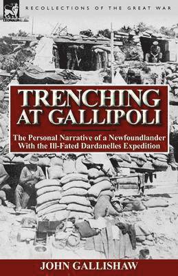 bokomslag Trenching at Gallipoli