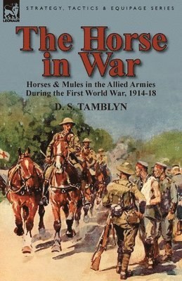 D S Tamblyn, D. S. Tamblyn - Horse in War, Häftad