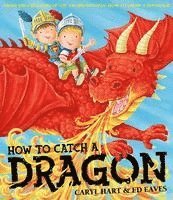 bokomslag How To Catch a Dragon