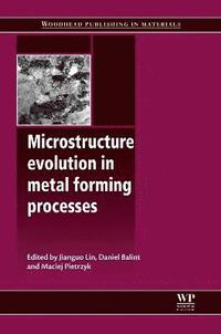 bokomslag Microstructure Evolution in Metal Forming Processes