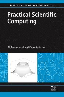 bokomslag Practical Scientific Computing