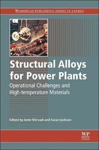 bokomslag Structural Alloys for Power Plants