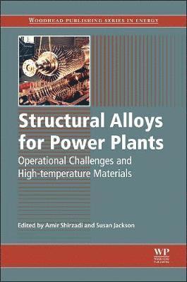 bokomslag Structural Alloys for Power Plants