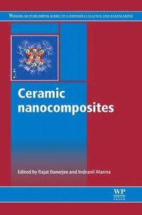 bokomslag Ceramic Nanocomposites