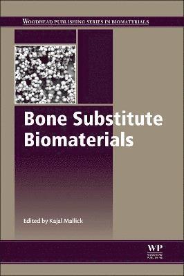 bokomslag Bone Substitute Biomaterials