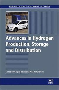 bokomslag Advances in Hydrogen Production, Storage and Distribution