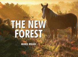 Spirit of the New Forest 1