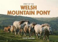 bokomslag Spirit of the Welsh Mountain Pony