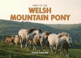 bokomslag Spirit of the Welsh Mountain Pony