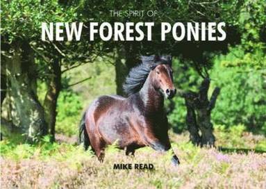 bokomslag The Spirit of New Forest Ponies