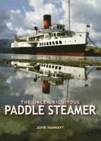 Once-Ubiquitous Paddle Steamer