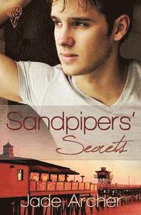 bokomslag Sandpipers' Secrets