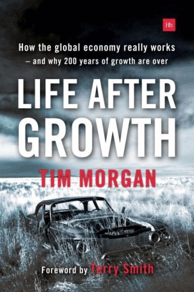 Tim Morgan - Life After Growth, Häftad
