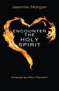 bokomslag Encounter the Holy Spirit