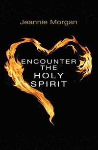 bokomslag Encounter the Holy Spirit