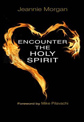 Jeannie Morgan - Encounter the Holy Spirit, Häftad