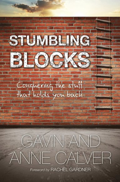 bokomslag Stumbling Blocks