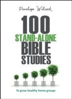 bokomslag 100 Stand-Alone Bible Studies