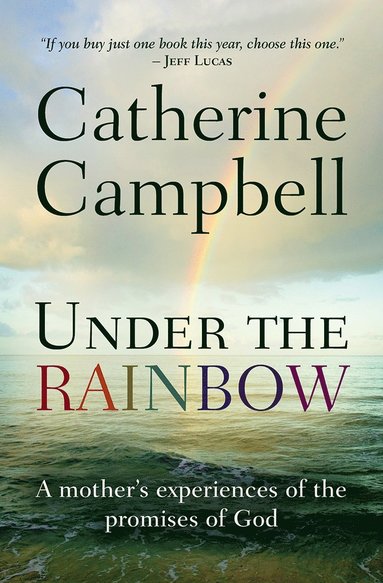 bokomslag Under the Rainbow