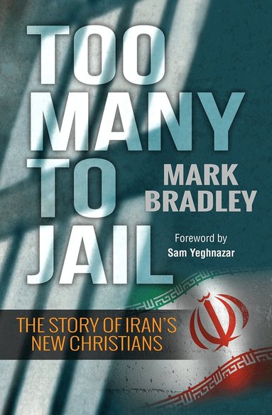 Mark Bradley - Too Many to Jail, Häftad