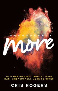 bokomslag Immeasurably More