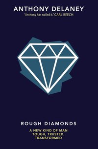 bokomslag Rough Diamonds