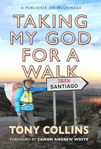 bokomslag Taking My God for a Walk